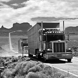 Monument Valley - Trucks